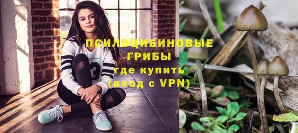 ешки Алзамай