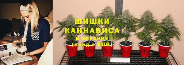 ешки Алзамай