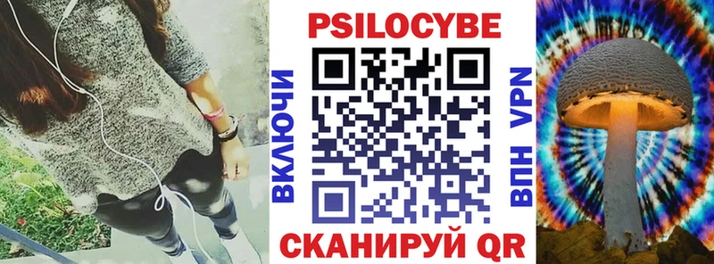 KRAKEN рабочий сайт  где купить   Черноголовка  Галлюциногенные грибы Psilocybe 